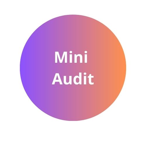 Audit Mini SEO